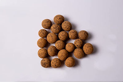 Delicious chocolate covered sprouted hazelnuts